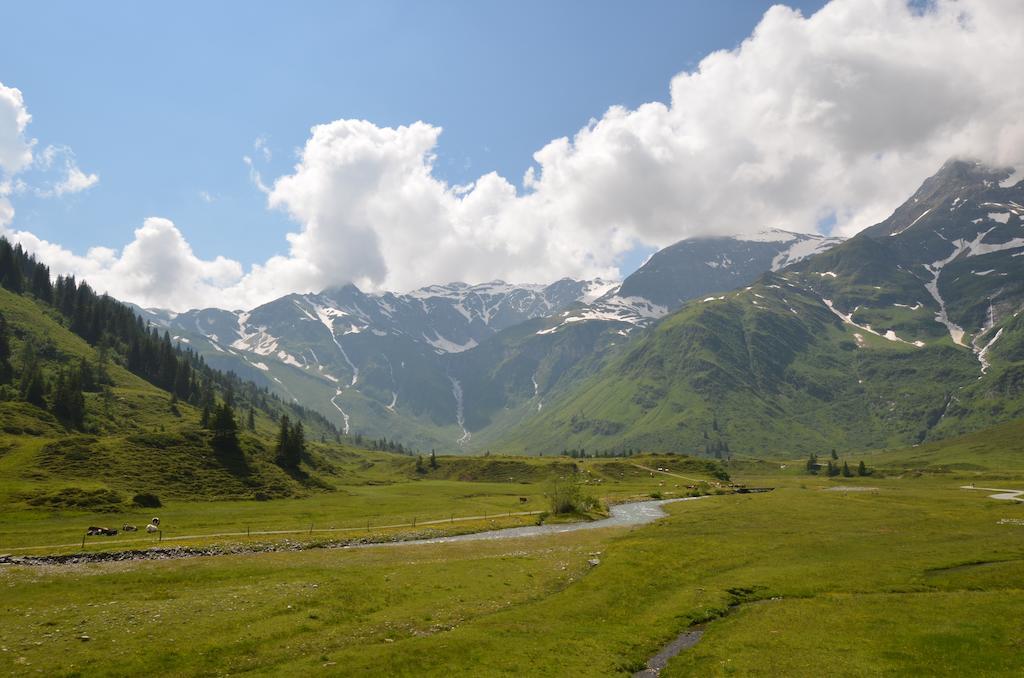 Winklers Gipfelblick Chalet, Inklusive Alpentherme - Ganzjaehrig, Gasteiner Bergbahn - Nur Sommer Bad Hofgastein Luaran gambar