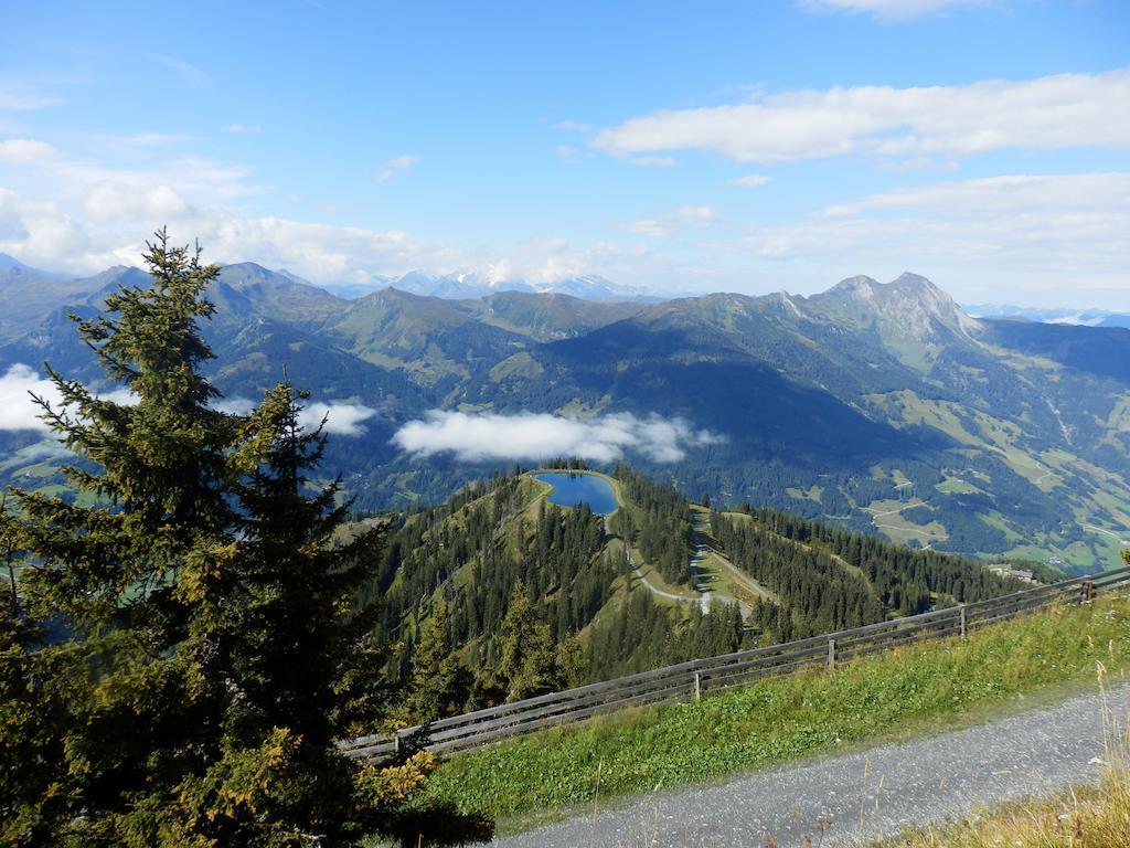 Winklers Gipfelblick Chalet, Inklusive Alpentherme - Ganzjahrig, Gasteiner Bergbahn - Nur Sommer Bad Hofgastein Luaran gambar